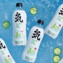 Genki Forest Sparkling Water 480ml 元气森林气泡水480ml/箱