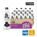 Genki Forest Sparkling Water 480ml 元气森林气泡水480ml/箱